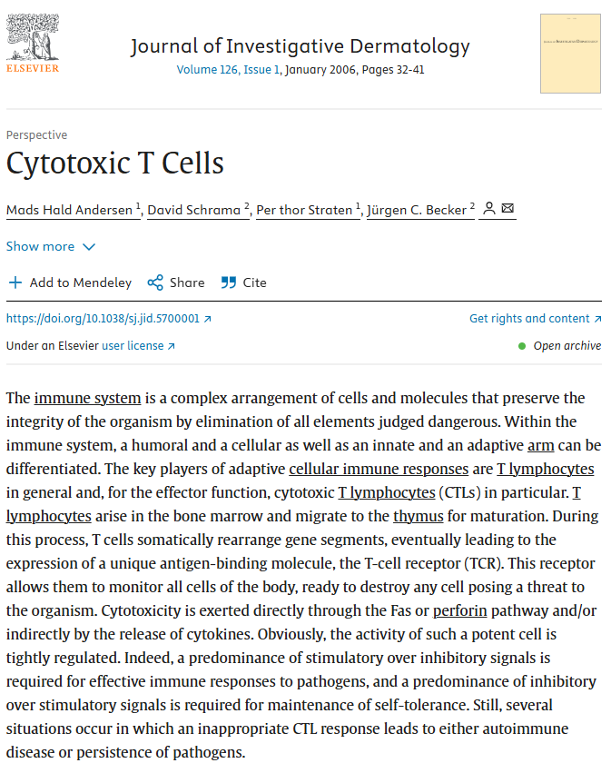 The key players of adaptive cellular immune responses are T lymphocytes in general and, for the effector function, cytotoxic T lymphocytes (CTLs) in particular.