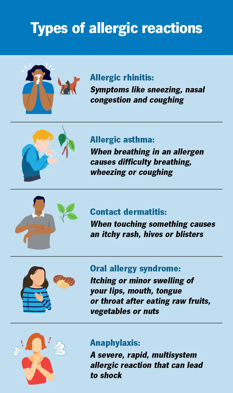 Reactions manifest as urticaria, allergic rhinitis, asthma, atopic dermatitis, food allergies, or anaphylaxis, with late-phase responses involving eosinophil recruitment and chronic inflammation. Affects nearly one-third of the global population, driven by environmental allergens like pollen, dust mites, foods, and venoms.